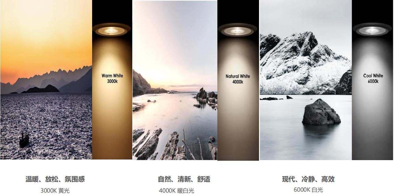 【設(shè)計(jì)案例】普照國(guó)康醫(yī)藥辦公室項(xiàng)目概念設(shè)計(jì)——以空間敘事,筑品牌基因(圖26) 【設(shè)計(jì)案例】普照國(guó)康醫(yī)藥辦公室項(xiàng)目概念設(shè)計(jì)——以空間敘事,筑品牌基因(圖26)